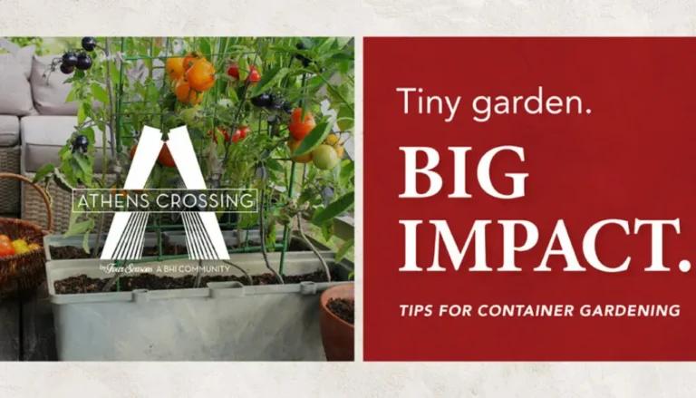 Five Quick Tips for Growing a Flourishing Container Garden
